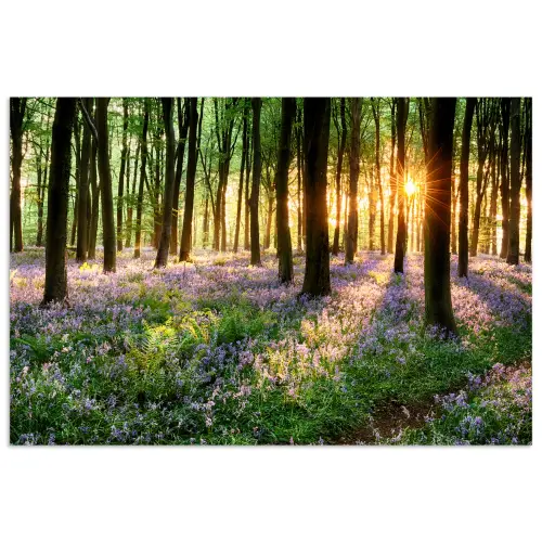 Bos - Bloemen - Lavendel - Zon - Paars - Natuur poster papier klein -3d