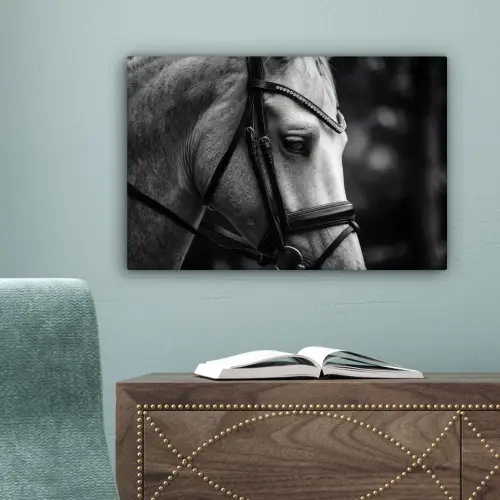 Paard - Schimmel - Portret canvas 2cm klein -sfeer4
