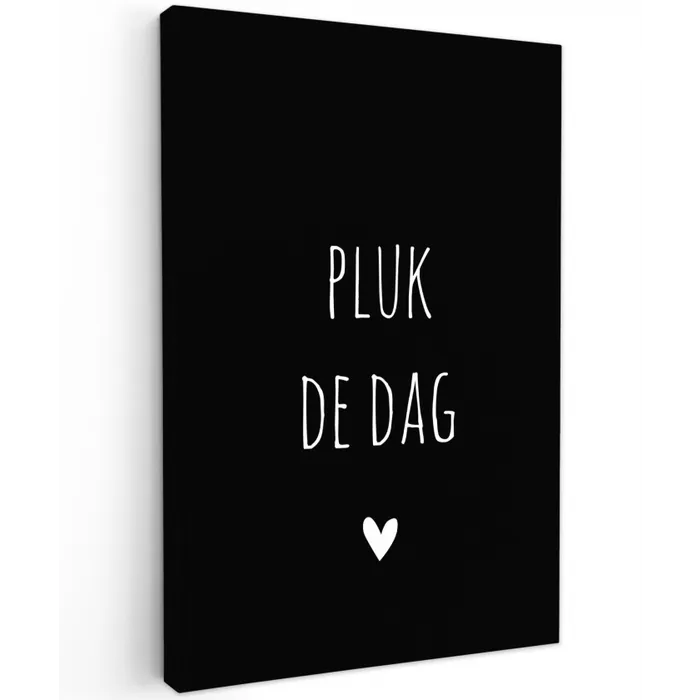 Quotes - Pluk de dag - Spreuken - Carpe diem Tuinposter op houten frame 2 cm dik klein -3d