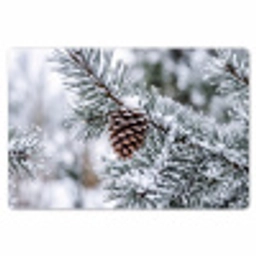 Dennenappel - Tak - Sneeuw - Winter - Sfeervol Placemat vinyl groot -zzsfeer1_Kitchenyeah-website
