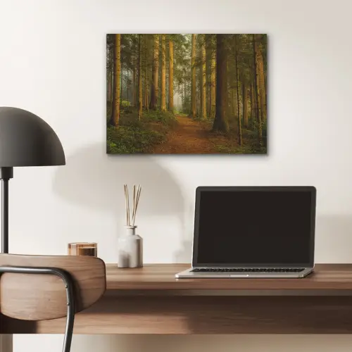 Bos - Natuur - Bomen - Landschap - Bladeren PET vilt klein -sfeer5