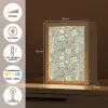 Roze - Vogels - Kleurrijk Light Box met kabel (Tafellamp) klein 925 -USP_NL