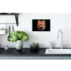 Graffiti - Vos - Zwart - Pop art Muursticker klein -keuken