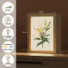 Lelie - Elegant - Botanisch - Beige Light Box met kabel (Tafellamp) klein -USP_NL