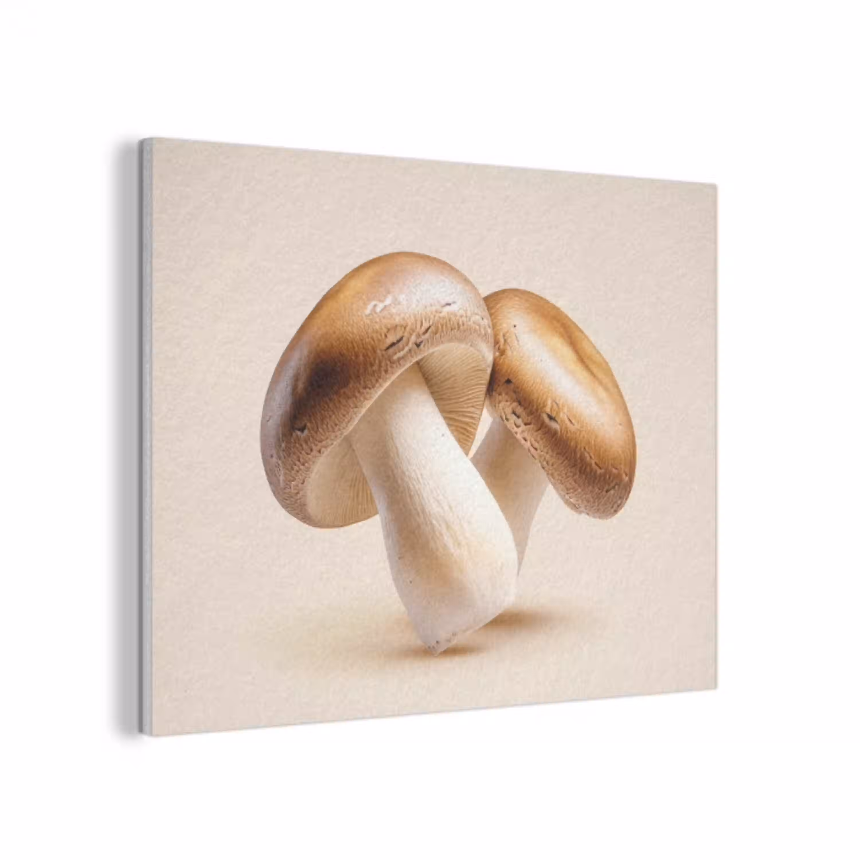 Champignons - Zacht - Beige PET vilt klein -3d