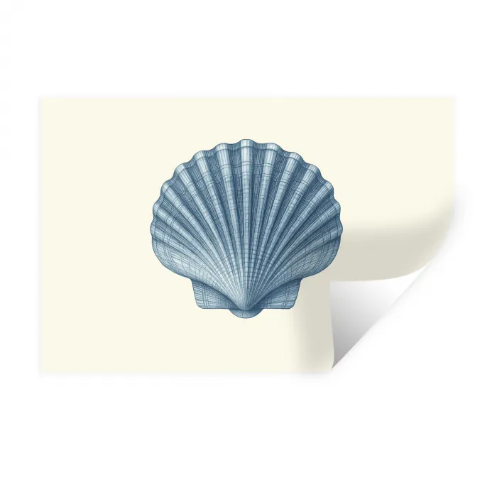 Ribbels - Blauw - Schelp Muursticker klein -3d