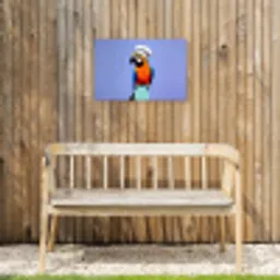 Papegaai - Koksmuts - Vogel - Leuk Tuinposter op houten frame 2 cm dik klein -sfeer4