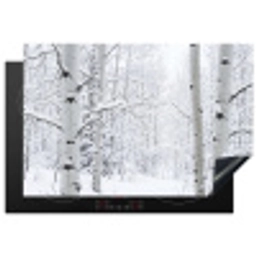 Berkenbomen - Sneeuw - Winter - Bos - Wit Inductie beschermer vinyl 3mm klein -3d