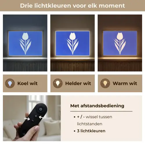 Tulp - Minimalistisch - Bladeren - Wit Light Box met batterij (Wandlamp) middel -USP_lichtkleurNL