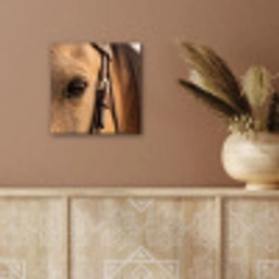 Paard - Oog - Bruin aluminium wit klein -sfeer4