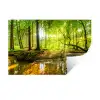 Bos - Landschap - Water - Bomen - Zon - Groen Muursticker klein -3d