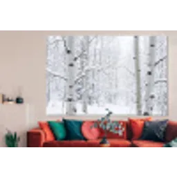 Berkenbomen - Sneeuw - Winter - Bos - Wit forex 5mm xxl -woonkamer