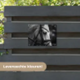 Paard - Schimmel - Portret tuinposter los doek klein -sfeer3