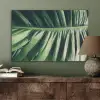 Palmblad - Tropisch - Natuur - Jungle PET vilt middel -sfeer2