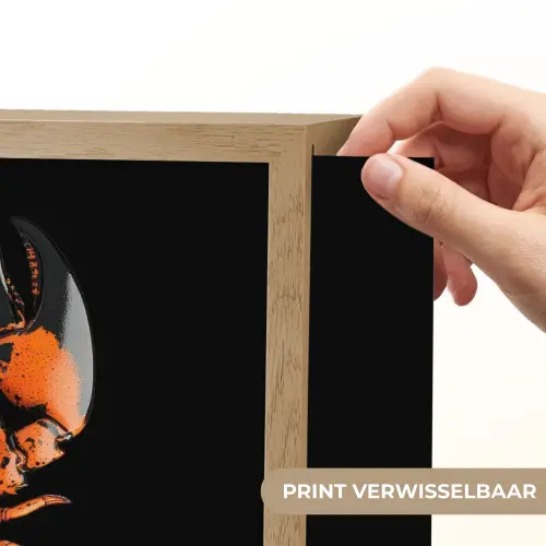 Kreeft - Oranje - Zwart - Modern Light Box met batterij (Wandlamp) middel -USP_websiteprintNL