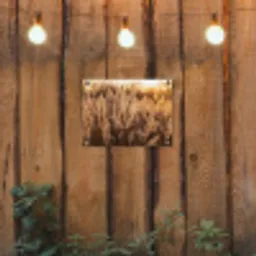 Rietpluimen - Gras - Zonsondergang - Goud - Serene tuinposter los doek klein -sfeer1