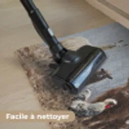 Boerderijdieren - Groep - Mist - Natuur - Rustiek Deurmat klein -reinigen_FR
