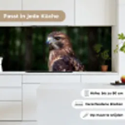 Buizerd - Roofvogel - Natuur - Bruin keuken achterwand 2 middel -sfeer4_DE