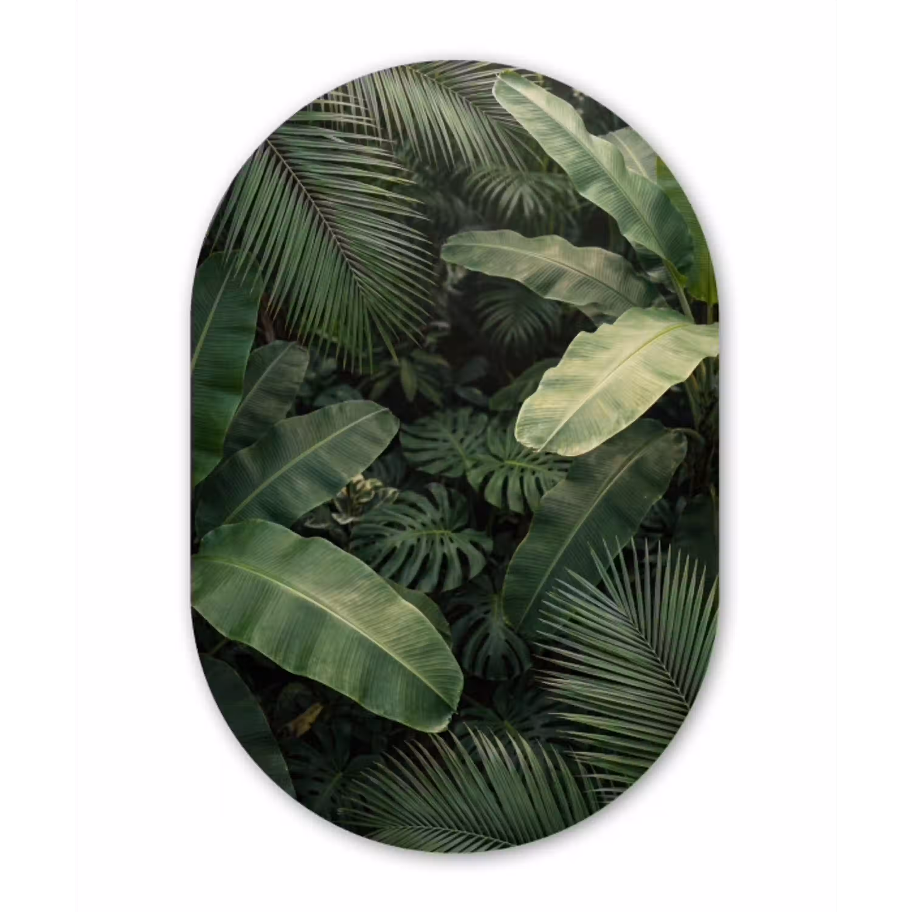 Bladeren - Groen - Tropisch - Natuur Wandcirkel Ovaal Aluminium middel -3d