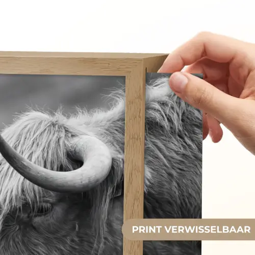 Schotse hooglander - Kalf - Zwart - Wit Light Box met batterij (Wandlamp) middel -USP_websiteprintNL