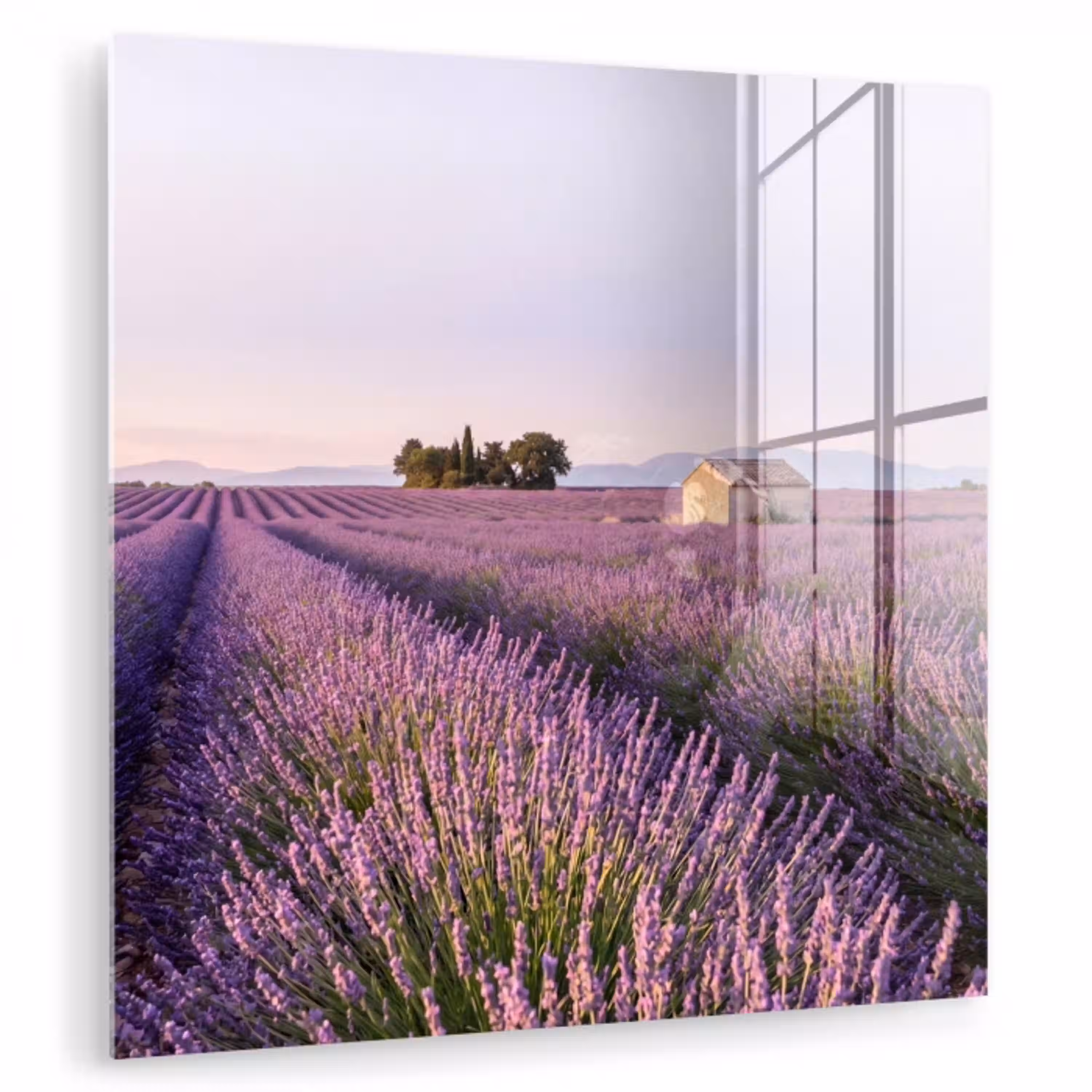 Lavendel - Landschap - Sereen - Paars plexiglas 5mm klein -zzzproduct_nieuw