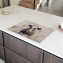 Koe - Portret - Dieren - Modern Inductie beschermer vinyl 3mm klein -sfeer8