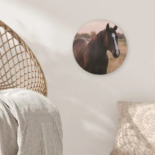Paard - Zonsondergang - Bruin Akoestische PET Vilt - Rond klein -sfeer4