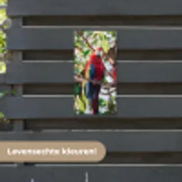 Papegaai - Vogels - Boom tuinposter los doek klein -sfeer3
