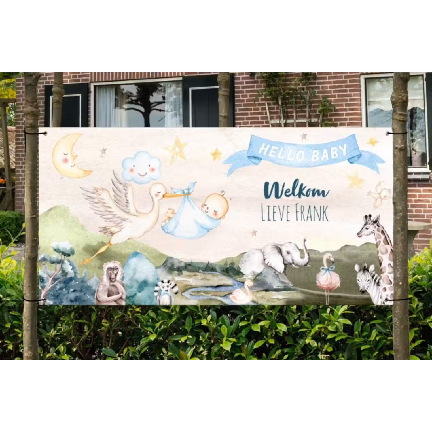 Spandoek - Geboorte - Jongen - Dieren