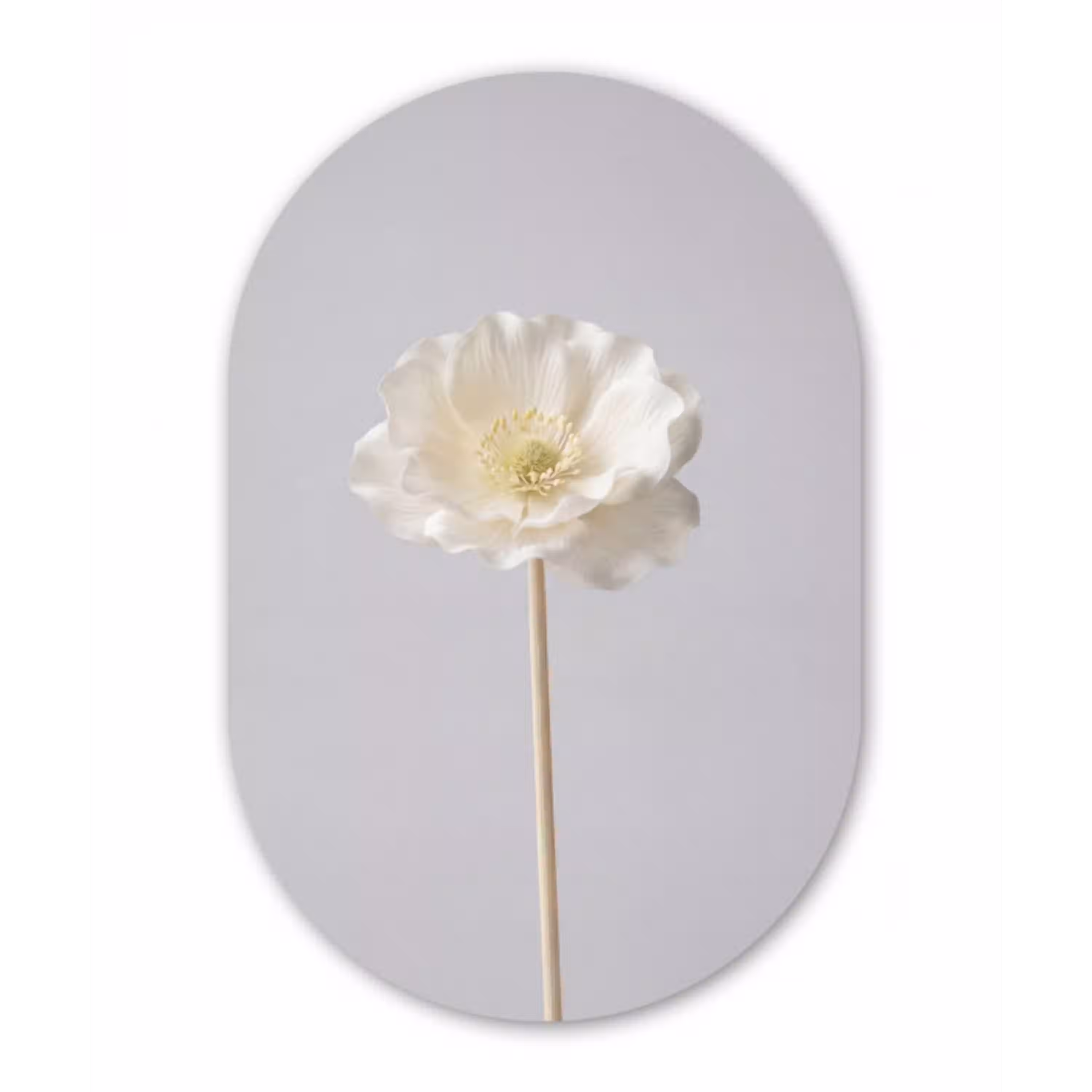 Bloem - Minimalistisch -Wit Wandcirkel Ovaal Aluminium middel -3d