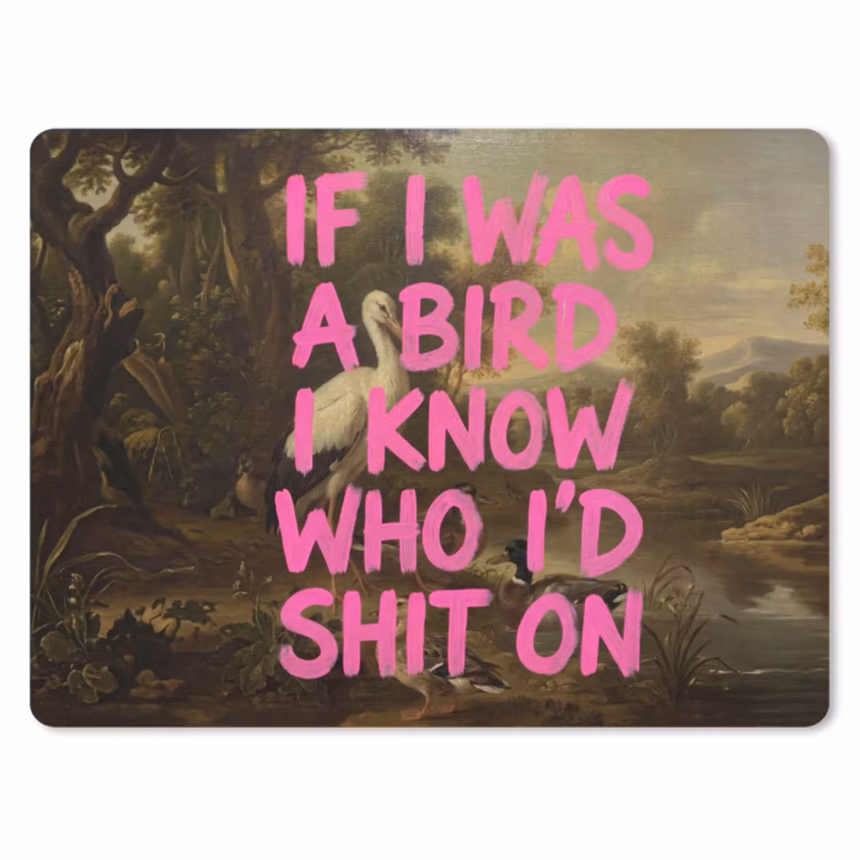 Klassiek - Humor - Roze muismat rubber klein -3d
