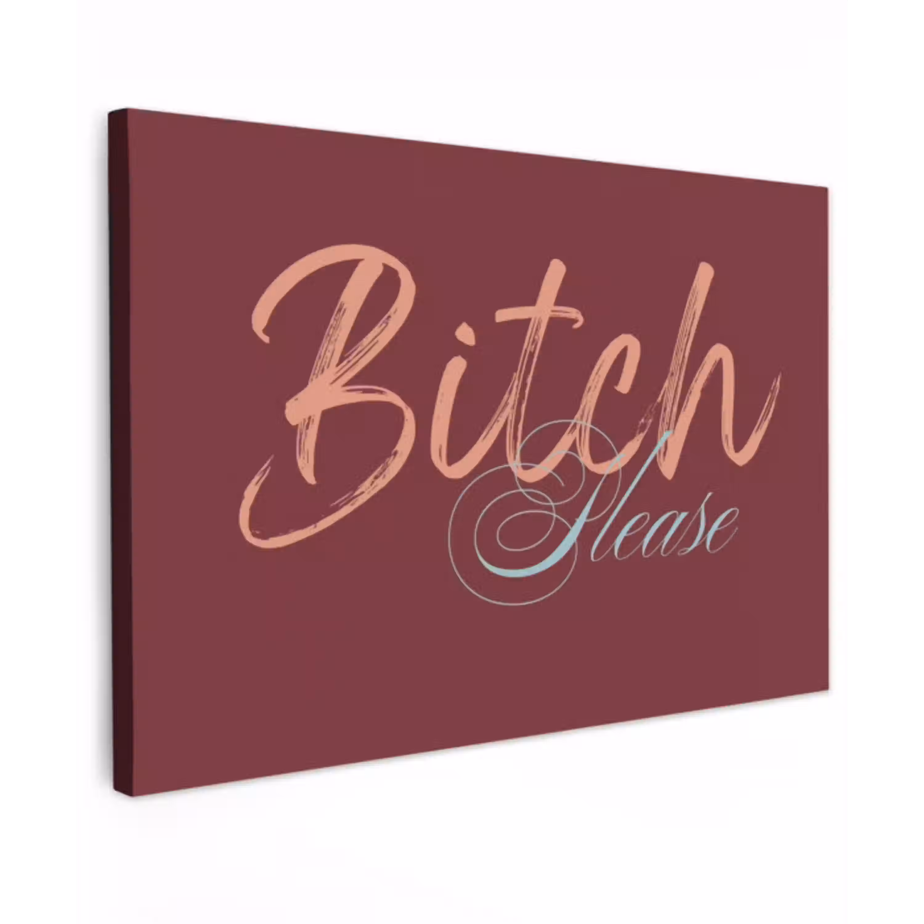 Bitch please - Rood - Blauw Tuinposter op houten frame 2 cm dik klein -3d