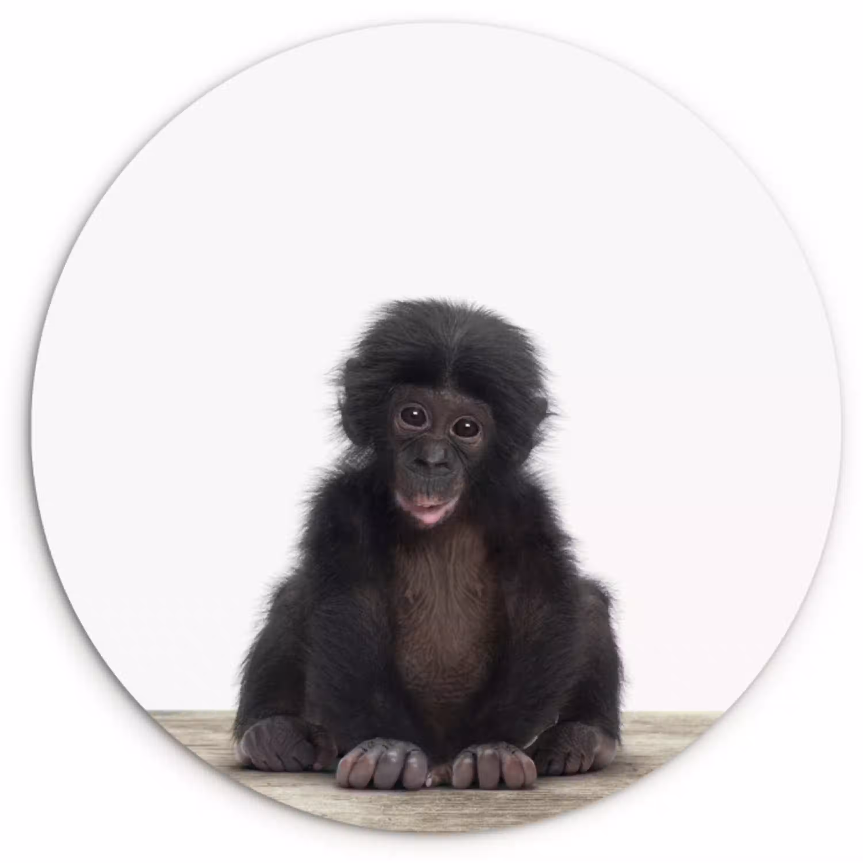 Kind - Aap - Chimpansee - Baby dieren - Jongens - Meiden Wandcirkel kunststof plaat 5mm dik klein -3d