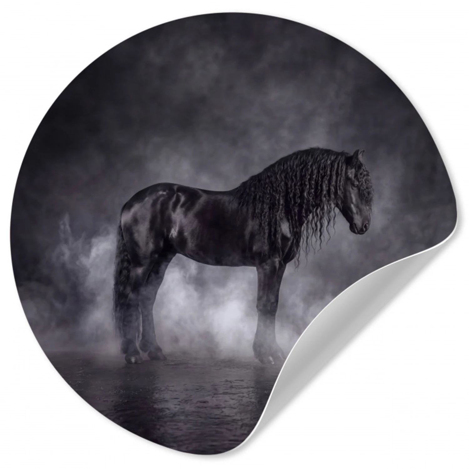 Paard - Magisch - Zwart Wandcirkel behangsticker klein -3d