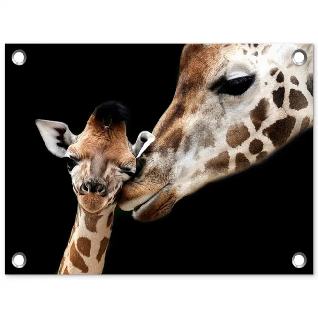 Moederlijke tederheid bij giraffen tuinposter los doek klein -3d