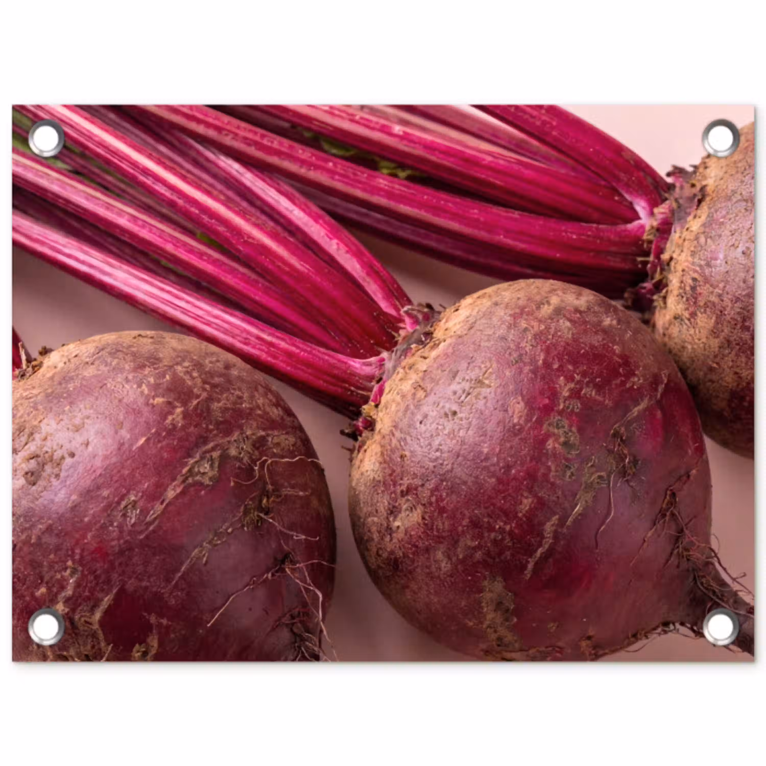 Groente - Rood - Vers tuinposter los doek klein -3d
