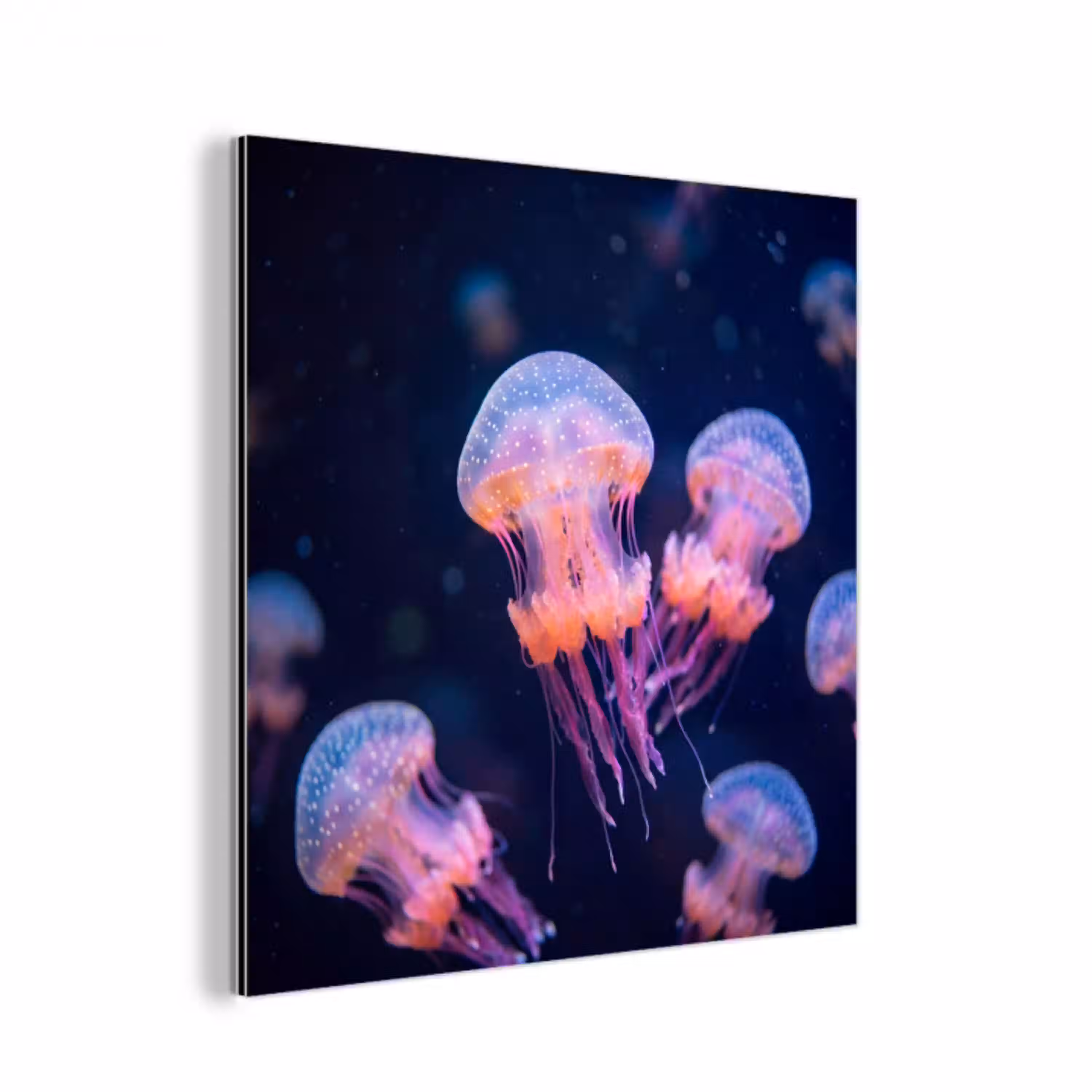 Dier - Onderwater - Natuur - Roze - Mysterieus aluminium wit klein -3d