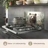 Bruine beer - Wilde dieren - Bloemen - Planten keuken achterwand spatscherm klein -usp_NL