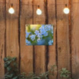 Bloemetjes - Blauw - Vergeet mij nietjes tuinposter los doek klein -sfeer1