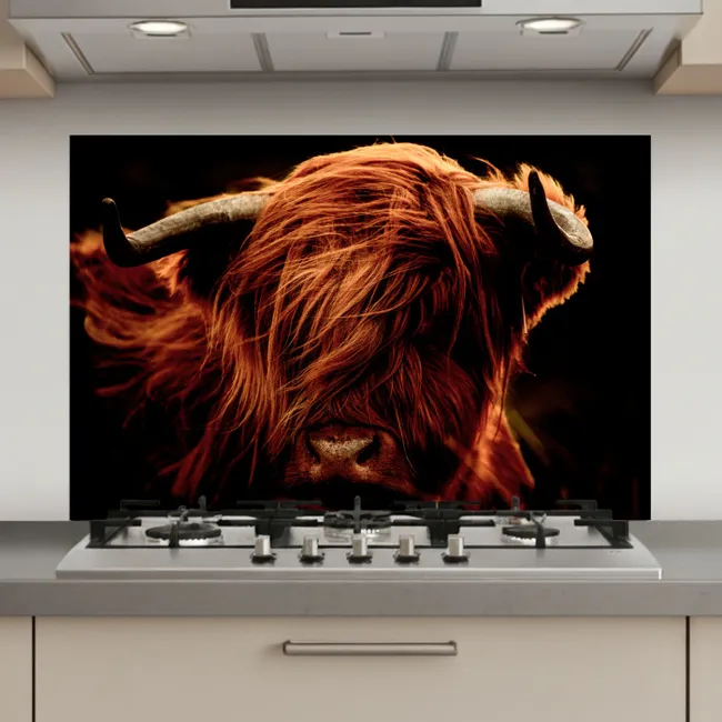 Schotse hooglander - Koe - Hoorns - Portret - Dieren keuken achterwand spatscherm klein -3d_website