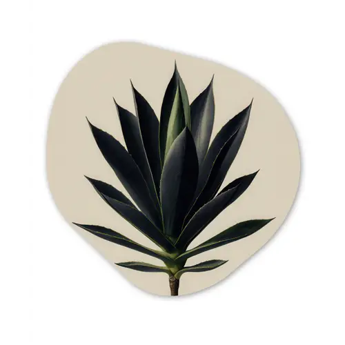 Agaveplant - Symmetrisch - Groen Wandcirkel Organisch Forex 3mm klein -3d