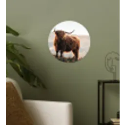 Schotse hooglander - Dieren - Landelijk - Landschap - Koe - Natuur Wandcirkel behangsticker klein -sfeer2