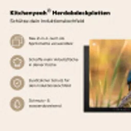 IJsvogel - Tak - Water - Kleurrijk - Levendig Inductie beschemer met haakjes klein -ky-usp-de