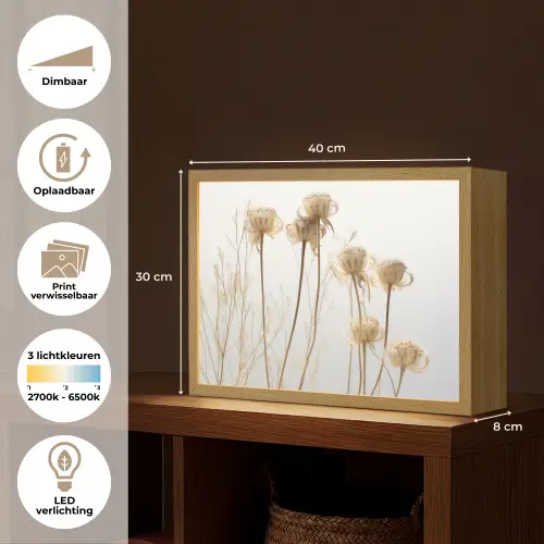 Droogbloemen - Natuur - Botanisch Light Box met batterij (Wandlamp) middel -USP_websiteoverzichtNL