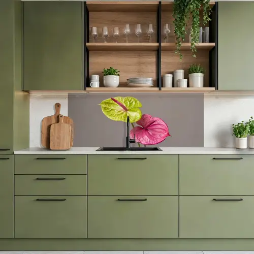 Planten - Anthurium - Groen - Roze keuken achterwand 2 middel -sfeer3