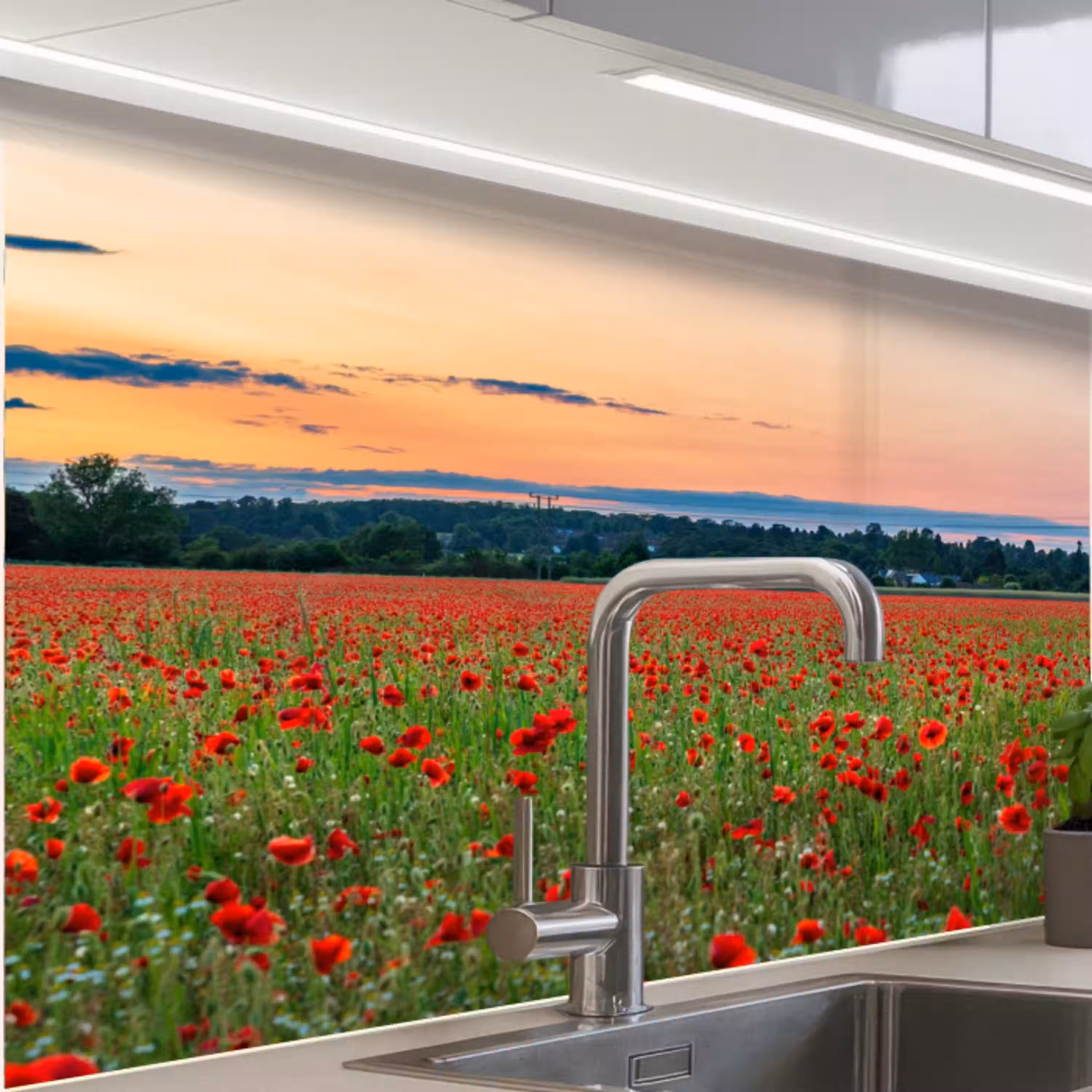 Klaprozen - Landschap - Rood - Bloemen keuken achterwand 2 middel -zzzz3d_schuin