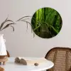 Jungle - Brug - Mos - Natuur - Tropisch Wandcirkel kunststof plaat 5mm dik klein -sfeer4