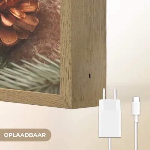 Dennenappels - Boom - Winter - Natuur - Bruin Light Box met batterij (Wandlamp) middel -USP_websiteoplaadbaarNL