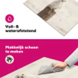 Sneeuwuil - Paal - Winter - Portret - Majestueus Inductie beschermer vinyl 3mm klein -wsfeer6_website