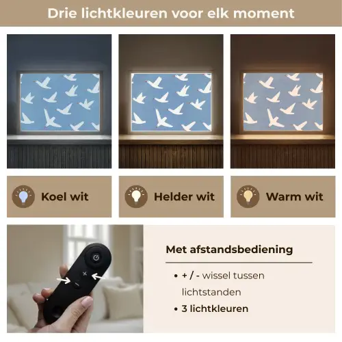 Vogels - Wit - Patroon Light Box met batterij (Wandlamp) middel -USP_lichtkleurNL